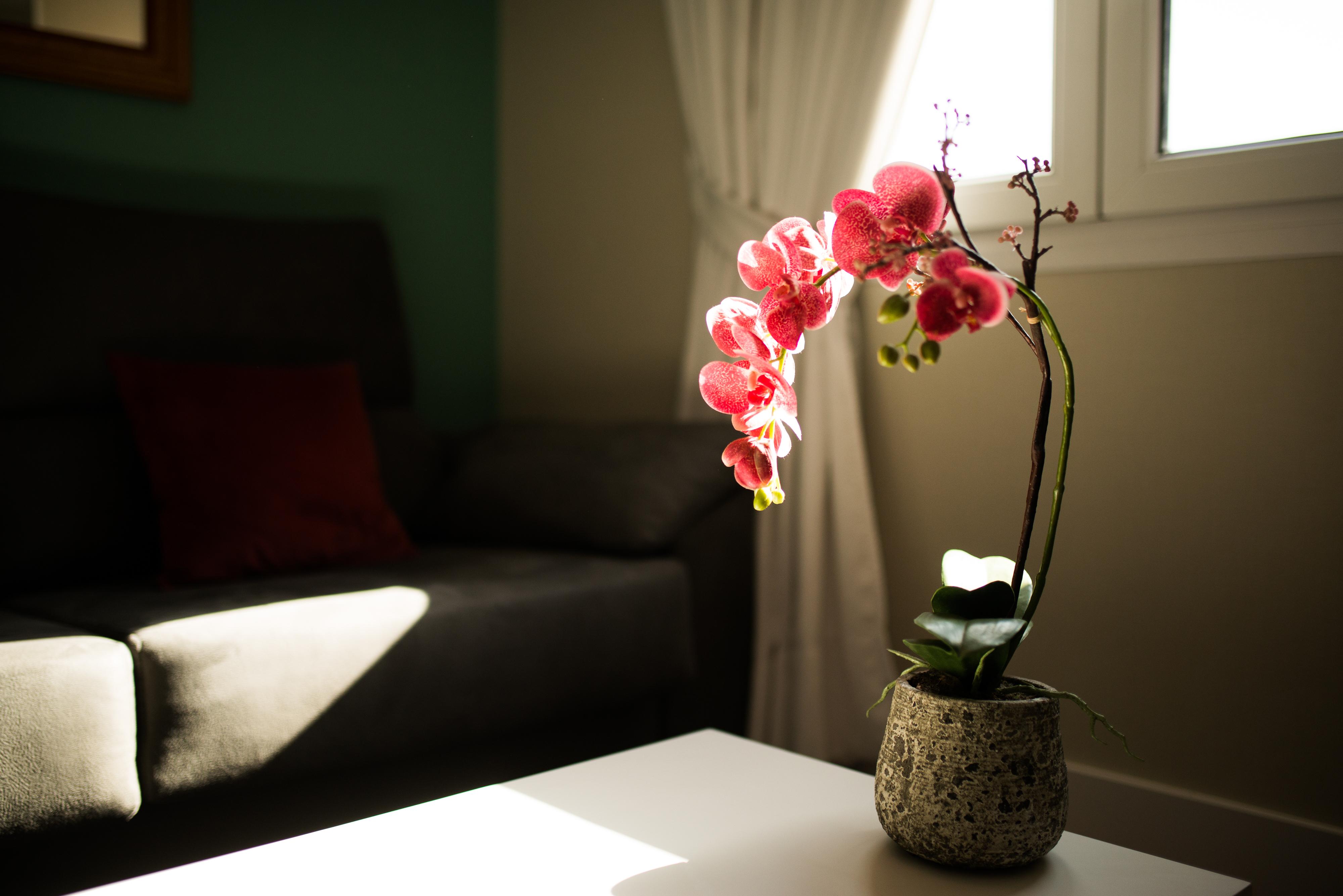 Apartamentos Cruz Мадрид Екстериор снимка